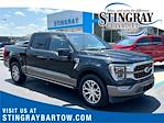 2023 Ford F-150 SuperCrew Cab RWD, Pickup for sale #PFA85833 - photo 1