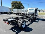 2024 Chevrolet LCF 5500HD Regular Cab RWD, Cab Chassis for sale #R7901414 - photo 2