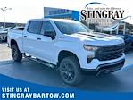 2025 Chevrolet Silverado 1500 Crew Cab 4WD, Pickup for sale #SG184428 - photo 1