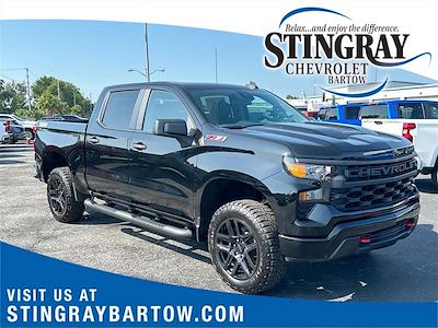 2025 Chevrolet Silverado 1500 Crew Cab 4WD Pickup for sale #SG376169 - photo 1
