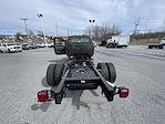 New 2024 Chevrolet Silverado 5500 Regular Cab Cab Chassis for sale #X496 - photo 49