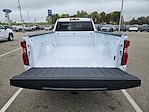 New 2024 Chevrolet Silverado 1500 Work Truck Regular Cab Pickup for sale #76483 - photo 8