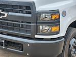 2024 Chevrolet Silverado 4500 Regular Cab DRW 4x2, Cab Chassis for sale #C240302 - photo 8