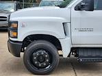 2024 Chevrolet Silverado 4500 Regular Cab DRW 4x2, Cab Chassis for sale #C240302 - photo 9