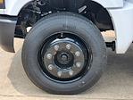 2024 Chevrolet Silverado 5500 Regular Cab DRW 4x2 Cab Chassis for sale #C240328 - photo 9