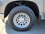 New 2025 Chevrolet Silverado 1500 Work Truck Regular Cab for sale #C250497 - photo 11
