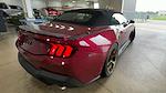 2025 Ford Mustang Convertible Automatic 4x2 RTR Spec 3 Premium Lifted Truck for sale #1FAGP8FF8S5119818 - photo 8