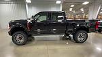 2024 Ford F-250 Crew 4x4 Harley-Davidson Premium Lifted Truck for sale #1FT8W2BM0REE03618 - photo 9