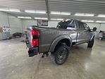 2025 Ford F-250 Crew 4x4 Black Widow Premium Lifted Truck for sale #1FT8W2BM0SED92559 - photo 8