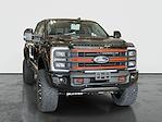 2024 Ford F-250 Crew 4x4 Harley-Davidson Premium Lifted Truck for sale #1FT8W2BM1REE35803 - photo 1