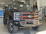 2024 Ford F-250 Crew 4x4 Harley-Davidson Premium Lifted Truck for sale #1FT8W2BM2REE80023 - photo 10