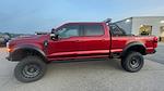 2025 Ford F-250 Crew 4x4 Shelby Super Baja Premium Lifted Truck for sale #1FT8W2BM2SEC40301 - photo 4