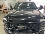 2025 Ford F-250 Crew 4x4 Black Widow Premium Lifted Truck for sale #1FT8W2BM3SED92913 - photo 10