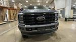 2024 Ford F-250 Crew 4x4 Black Widow Premium Lifted Truck for sale #1FT8W2BM4REF00546 - photo 4