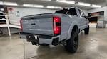 2025 Ford F-250 Crew 4x4 Rocky Ridge Premium Lifted Truck for sale #1FT8W2BM4SEC35682 - photo 8