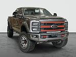 2025 Ford F-250 Crew 4x4 Harley-Davidson Premium Lifted Truck for sale #1FT8W2BM4SED49116 - photo 1
