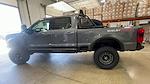 2024 Ford F-250 Crew 4x4 Shelby Super Baja Premium Lifted Truck for sale #1FT8W2BM5RED60023 - photo 6