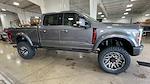 2024 Ford F-250 Crew 4x4 Harley-Davidson Premium Lifted Truck for sale #1FT8W2BM5REE46013 - photo 2
