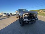 2024 Ford F-250 Crew 4x4 Black Widow Premium Lifted Truck for sale #1FT8W2BM5REE85507 - photo 10