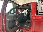 2025 Ford F-250 Crew 4x4 Shelby Super Baja Premium Lifted Truck for sale #1FT8W2BM5SEC40244 - photo 9