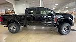 2024 Ford F-250 Crew 4x4 Harley-Davidson Premium Lifted Truck for sale #1FT8W2BM6REE46151 - photo 2