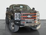 2024 Ford F-250 Crew 4x4 Harley-Davidson Premium Lifted Truck for sale #1FT8W2BM7REE80020 - photo 1