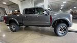 2024 Ford F-250 Crew 4x4 Harley-Davidson Premium Lifted Truck for sale #1FT8W2BM8REE46006 - photo 2