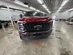 2025 Ford F-250 Crew Cab 4x4 Black Widow for sale #1FT8W2BM8SEC36298 - photo 3