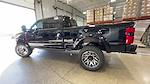 2024 Ford F-250 Crew 4x4 Harley-Davidson Premium Lifted Truck for sale #1FT8W2BM9REE90354 - photo 6
