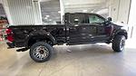 2024 Ford F-250 Crew 4x4 Harley-Davidson Premium Lifted Truck for sale #1FT8W2BM9REE90354 - photo 9
