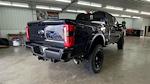 2024 Ford F-250 Crew 4x4 Rocky Ridge Premium Lifted Truck for sale #1FT8W2BM9REE99975 - photo 8