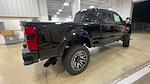 2024 Ford F-250 Crew 4x4 Harley-Davidson Premium Lifted Truck for sale #1FT8W2BMXREE12746 - photo 9