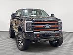 2024 Ford F-250 Crew 4x4 Harley-Davidson Premium Lifted Truck for sale #1FT8W2BMXREE12746 - photo 1