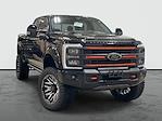 2025 Ford F-250 Crew 4x4 Harley-Davidson Premium Lifted Truck for sale #1FT8W2BMXSEC52549 - photo 1