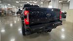 2024 Ford F-250 Crew 4x4 Rocky Ridge Premium Lifted Truck for sale #1FT8W2BN5REF70355 - photo 7