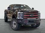 2024 Ford F-250 Crew 4x4 Harley-Davidson Premium Lifted Truck for sale #1FT8W2BNXREF87877 - photo 1