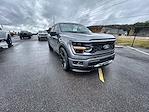 2024 Ford F-150 Super Crew 4x4 Lowered Black Widow Premium Lifted Truck for sale #1FTFW3L50RFA15710 - photo 10