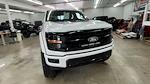 2024 Ford F-150 Super Crew 4x4 Rocky Ridge Premium Lifted Truck for sale #1FTFW3L50RFA35939 - photo 3