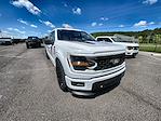 2025 Ford F-150 Super Crew 4x4 Lowered Black Widow Premium Lifted Truck for sale #1FTFW3L51SKD93726 - photo 10