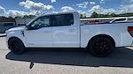 2025 Ford F-150 Super Crew 4x4 Lowered Black Widow Premium Lifted Truck for sale #1FTFW3L51SKD93726 - photo 3