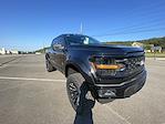2024 Ford F-150 Super Crew 4x4 Black Widow Premium Lifted Truck for sale #1FTFW3L52RFA79053 - photo 10