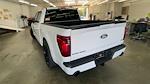 2024 Ford F-150 Super Crew 4x4 Lowered Black Widow Premium Lifted Truck for sale #1FTFW3L55RFA10728 - photo 7