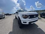 2025 Ford F-150 Super Crew 4x4 Black Widow Premium Lifted Truck for sale #1FTFW3L55SKD92711 - photo 10
