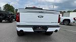 2025 Ford F-150 SuperCrew Cab 4x4 Black Widow for sale #1FTFW3L55SKD93258 - photo 2