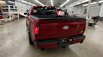 2024 Ford F-150 Super Crew 4x4 Lowered Black Widow Premium Lifted Truck for sale #1FTFW3L56RFA79430 - photo 7