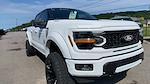 2025 Ford F-150 Super Crew 4x4 Black Widow Premium Lifted Truck for sale #1FTFW3L56SKD91230 - photo 6