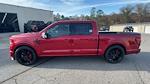 2024 Ford F-150 Super Crew 4x4 Lowered Black Widow Premium Lifted Truck for sale #1FTFW3L57RFB66155 - photo 5