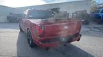 2024 Ford F-150 Super Crew 4x4 Lowered Black Widow Premium Lifted Truck for sale #1FTFW3L57RFB66155 - photo 7