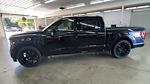 2024 Ford F-150 Super Crew 4x4 Lowered Black Widow Premium Lifted Truck for sale #1FTFW3L58RFA64363 - photo 5