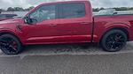 2025 Ford F-150 Super Crew 4x4 Lowered Black Widow Premium Lifted Truck for sale #1FTFW3L5XSKE90066 - photo 3